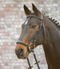 BRIDA STAR HANNOVER