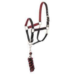 Cabezada A43220 ANKY® con ramal