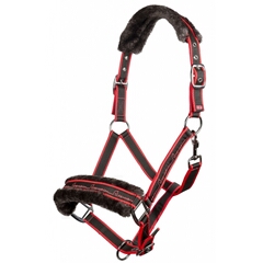 Halter -Equestrian-