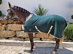 Polar rug Zms Saddlery