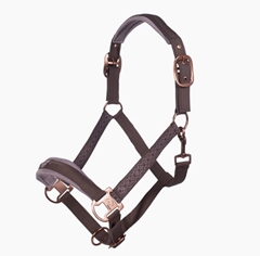 Bridle -Arctic Bay-