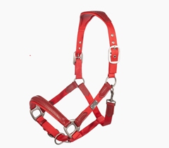 Aruba HKM Bridle