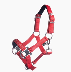 Cabezada -Aymee- Pony Rojo