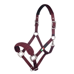 Halter Livigno