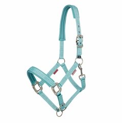 Logo Headcollar Lemieux