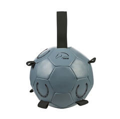 Horse Ball -Fun-