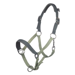 Head collar -Barnie-