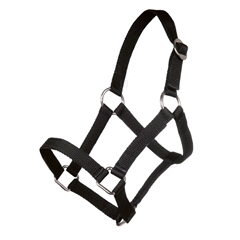 Cabezada Mini-Shetty