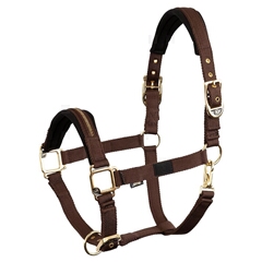 Cabezada De Cuadra BR Lieve