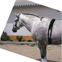 Chambon Cuero Castecus 822 Negro