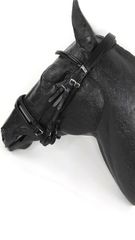 Queen Dressage Double Reins Bridle Lacquered Swiss Noseband