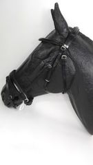 Cabezada Filete Queen Dressage Muserola Sueca Charol