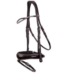 BR Bristol Bridle