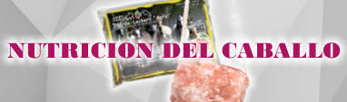 NUTRICION DEL CABALLO