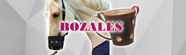 BOZALES