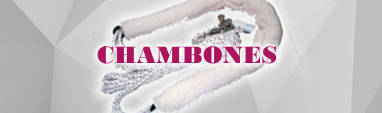 CHAMBONES